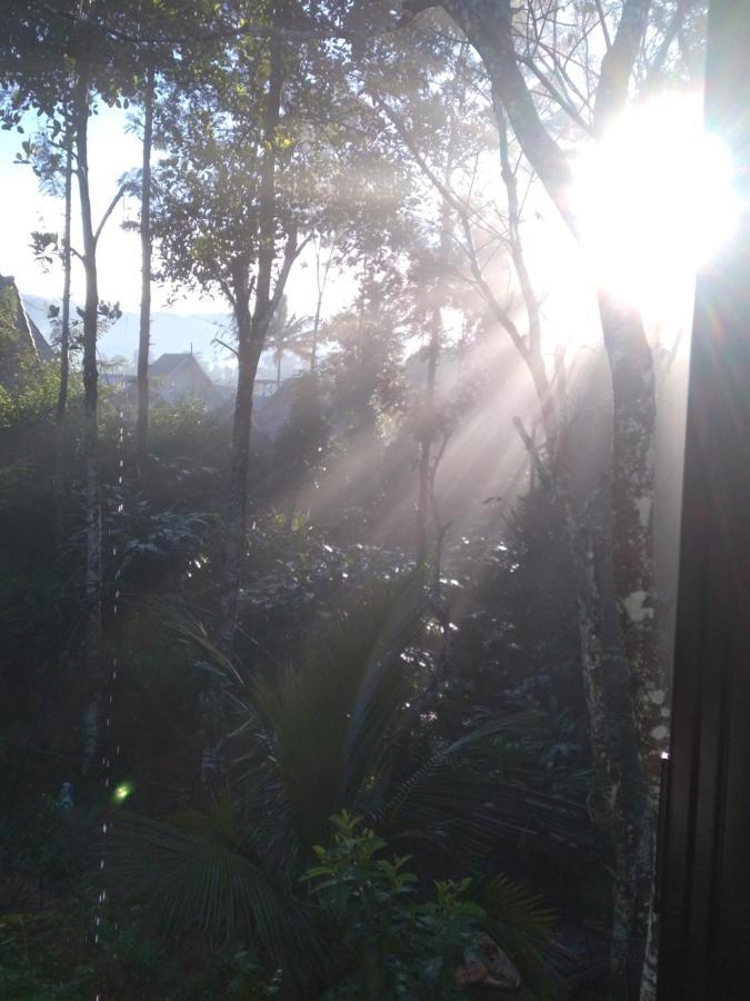 Winterhome Homestay Munnar Eksteriør billede
