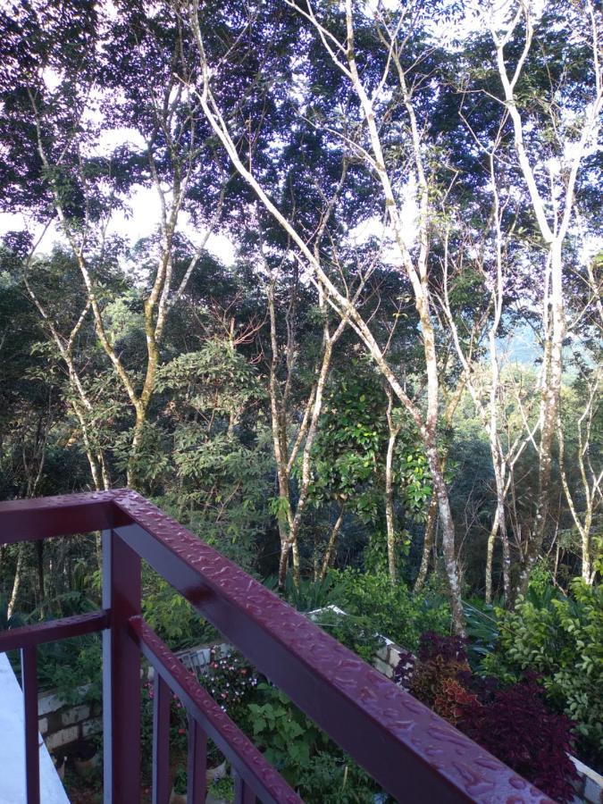 Winterhome Homestay Munnar Eksteriør billede